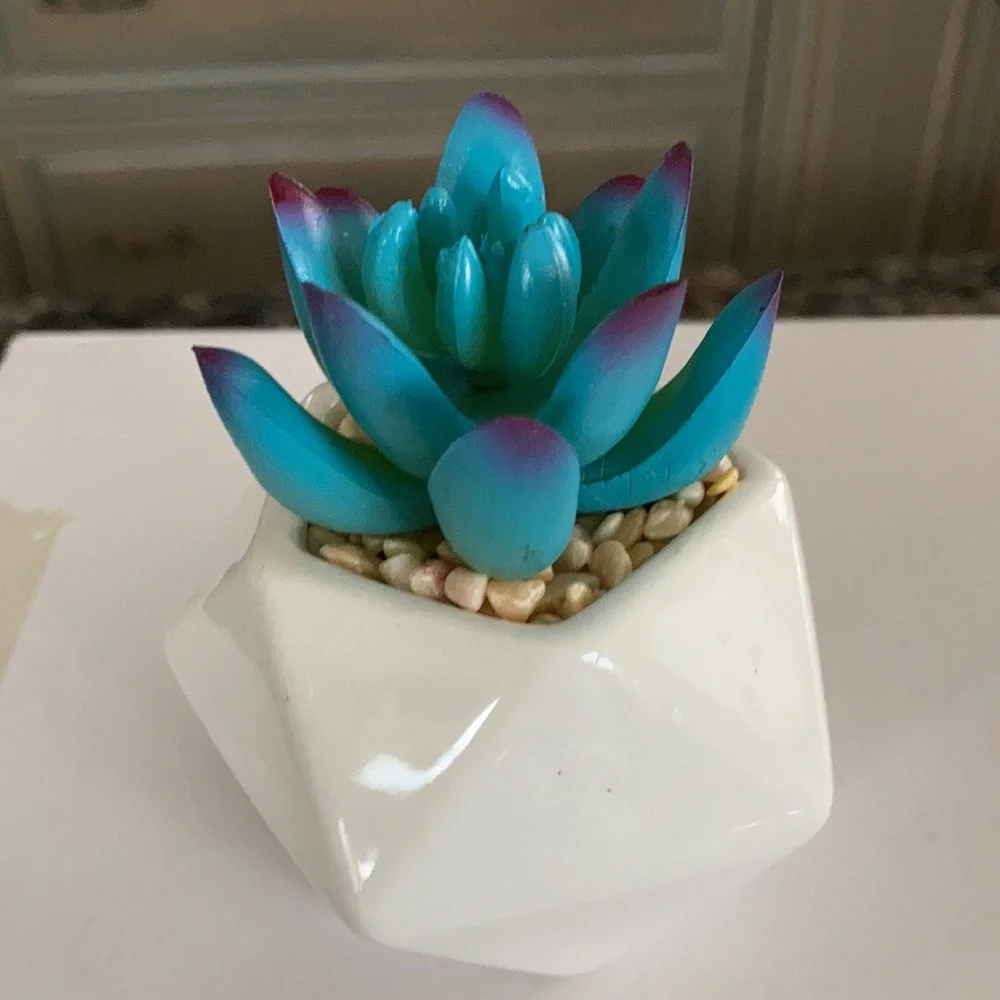 LEAFY CORNER ARTIFICIAL FAKE SUCCULENT PLANTS POTS NWT